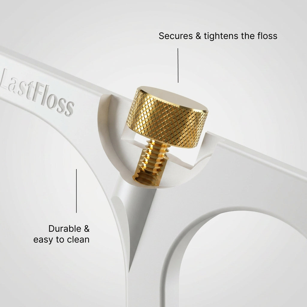 LastFloss refillable floss holder and travel case